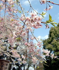 弘法寺