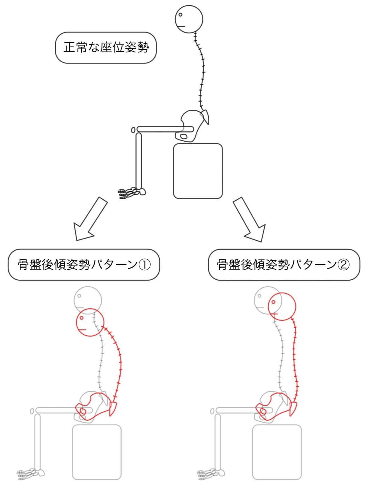 【市川整体院】ストレートネック｜座位姿勢による頚椎バランス.jpg