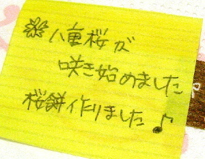 桜餅２・千葉県市川市カイロ整体院の頂き物