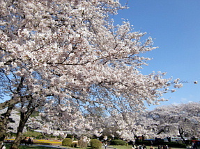 里見公園