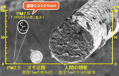 pm2.5ブログ-1