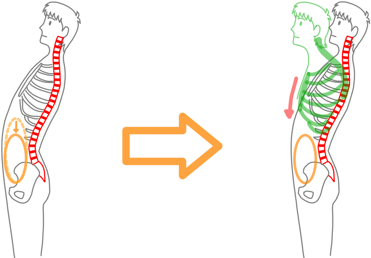 市川整体院猫背矯正「前胸部の下垂」